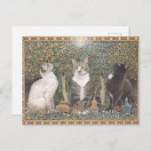 LESLEY ANNE IVORYS CHRISTMAS CAT POSTCARD BRIEFKAART (Voorkant / Achterkant)