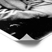 Leslie Stephen, 1900 Poster (Hoek)