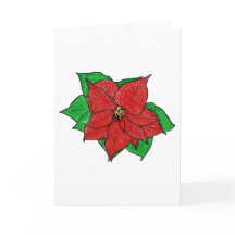 Leslie's Double-Secret Poinsettia IV