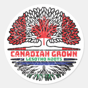 Lesotho Canadian Canada Tree Roots Flag Ronde Sticker