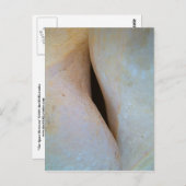 L'espace entre carte postale (Devant / Derrière)