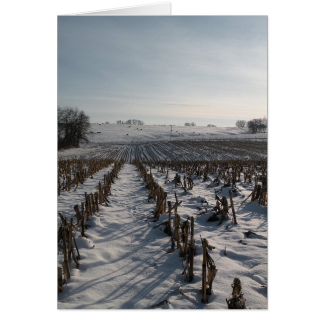 L'espoir jaillit éternel (Devant)