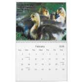 LESSEN VAN DE GEESE CALENDAR KALENDER (Feb 2026)