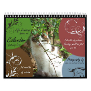 Lessen van het leven van een Kat Kalender