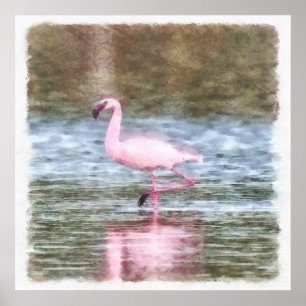Lesser Flamingo Waterverf Poster