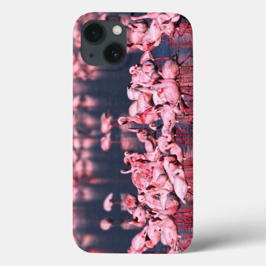 Lesser Flamingos (Phoeniconaias minor), Afrika, Case-Mate iPhone Case (Achterkant)