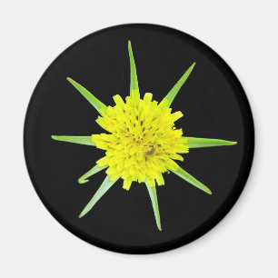 Lesser Goats-beard Wild Flower Magnet