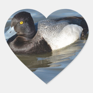 Lesser Scaup Duck Hart Sticker