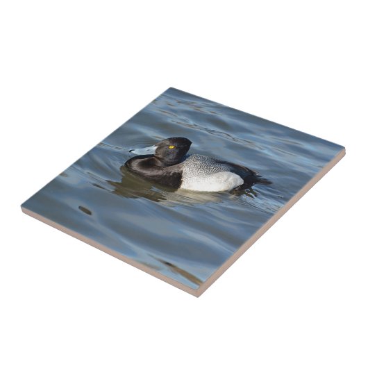 Lesser Scaup Duck Tegeltje (Zijkant)