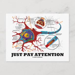 Let gewoon op (Neuron/Synapse) Briefkaart