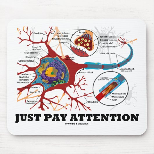 Let gewoon op (Neuron/Synapse) Muismat (Voorkant)