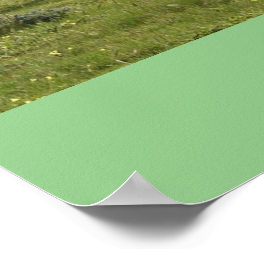 Let Go and Let God Pony Ponies Poster (Coin)