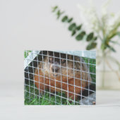 Let Me Out calendrier ~ carte postale (Debout devant)