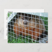 Let Me Out calendrier ~ carte postale (Devant / Derrière)