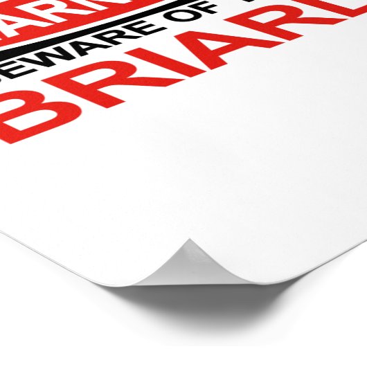 Let op de bride poster (Hoek)