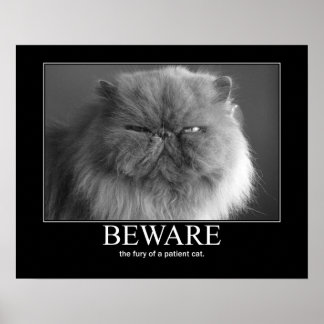 Let op de Furie van een patiëntenkat-kunstwerk Poster