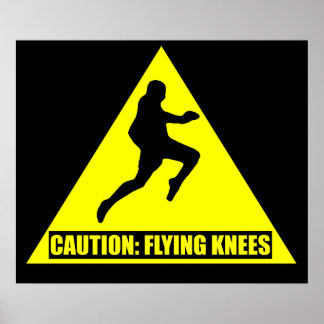 Let op: Flying Knees MMA/ Muay Thai Poster