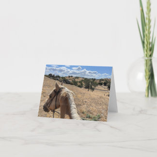 Let op Kaart, Palomino Horse en Blue Sky Notitiekaartje