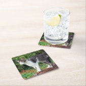 Let op! Kat - Kat - Onderzetter (Insitu)