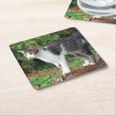 Let op! Kat - Kat - Onderzetter (Schuin)