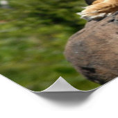 Let op poster (Hoek)