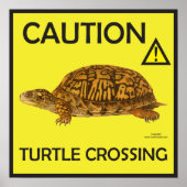 Let op Turtle Crossing Poster (Voorkant)