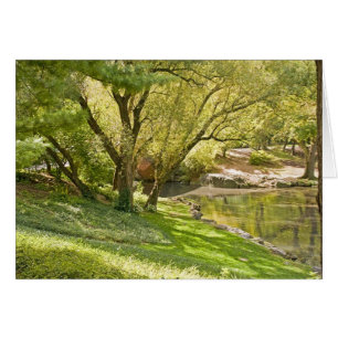 L'étang - Central Park NYC