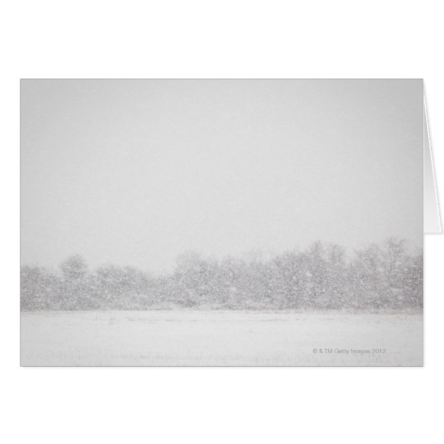 L'état des Etats-Unis, New-York, plage de (Devant horizontal)