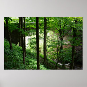 Letchworth Bridge Green Forest 36" x 24" Poster