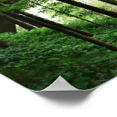 Letchworth Bridge Green Forest Poster (Hoek)