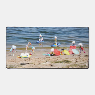 L'été à la plage avec les Fubby's