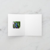 L'été de gloire de matin fleurit carte de voeux (Intérieur)