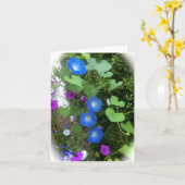 L'été de gloire de matin fleurit carte de voeux (Fleur jaune)