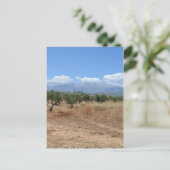 L'été en Crète carte postale (Debout devant)