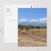 L'été en Crète carte postale (Devant / Derrière)