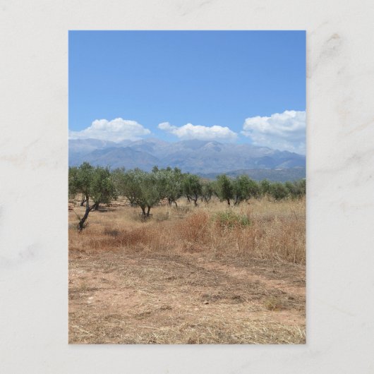 L'été en Crète carte postale (Devant)
