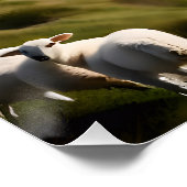 L'Éternel est mon Berger Poster (Coin)