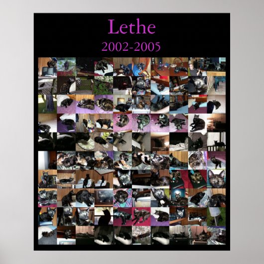 Lethe Poster (Voorkant)