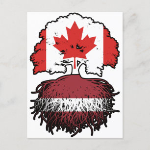 Letland - Letse Canadese vlag voor bomen Briefkaart