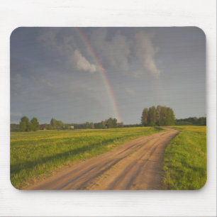 Letland, Noordoost-Letland, Vidzeme Regio, 4 Muismat