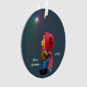 L'Étoile de Noël des merveilles de l'ornement acry (devant)