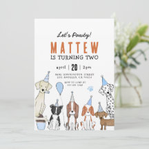 Lets Pawty Puppy Pawty Verjaardag Hond