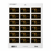 Letter B Monogram Tulp Vlinder Adresetiketten Etiket (Full Sheet)