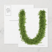 letter 'U' in het midden op witte achtergrond, Briefkaart (Voorkant / Achterkant)