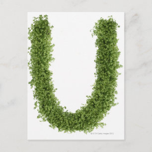 letter 'U' in het midden op witte achtergrond, Briefkaart