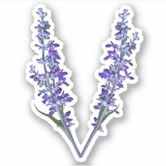Letter V Sage Flower - Initiaal V - Flower Monogra Sticker (Voorkant)