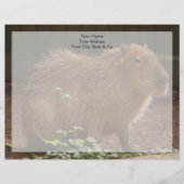 Lettre À En-tête Capybara (Devant)
