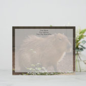 Lettre À En-tête Capybara (Debout devant)