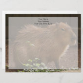Lettre À En-tête Capybara (Devant / Derrière)