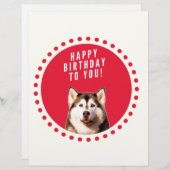 Lettre À En-tête Chatte Sibérien Husky Chien Joyeux Anniversaire (Devant / Derrière)